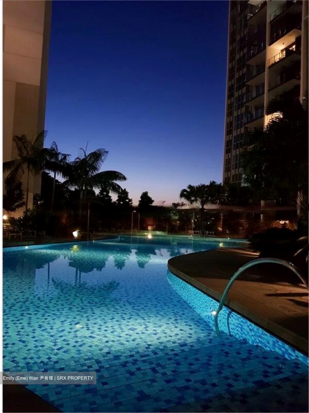 Bartley Ridge (D13), Condominium #480923621
